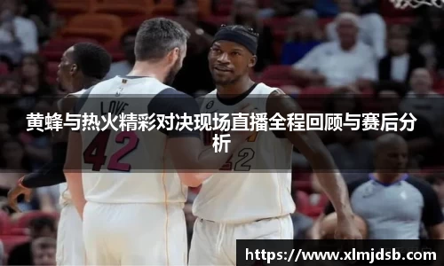 黄蜂与热火精彩对决现场直播全程回顾与赛后分析