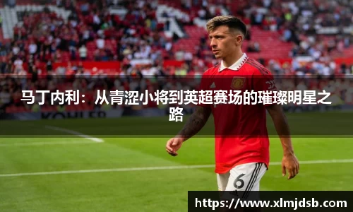 马丁内利：从青涩小将到英超赛场的璀璨明星之路
