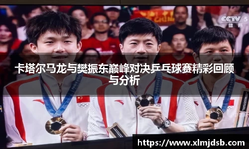 卡塔尔马龙与樊振东巅峰对决乒乓球赛精彩回顾与分析