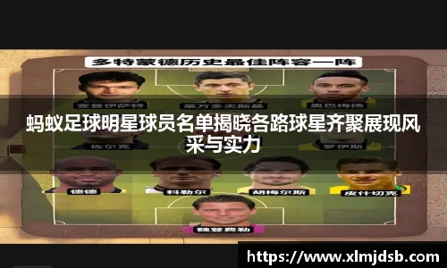 蚂蚁足球明星球员名单揭晓各路球星齐聚展现风采与实力